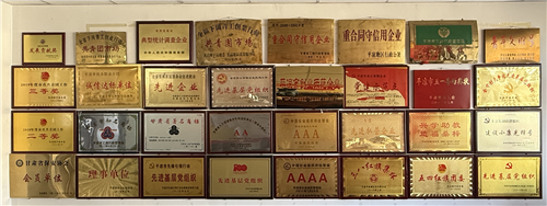 公司榮譽